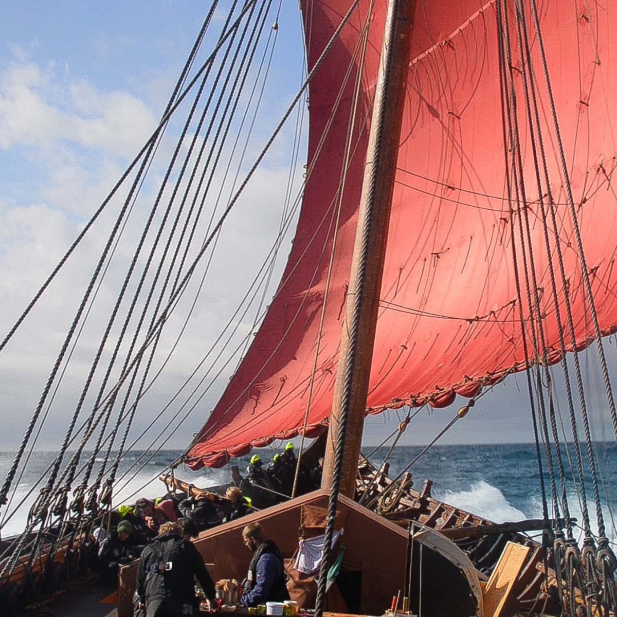 Vikings set sail for San Diego!