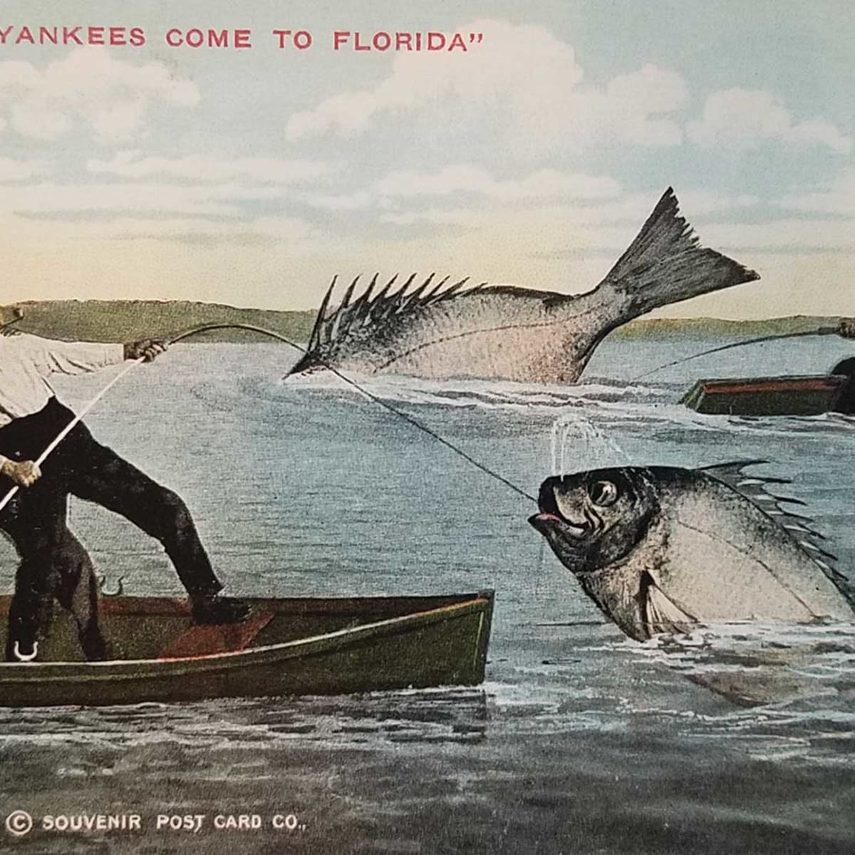 Great Sport Fishing Here Exaggeration Postcard
