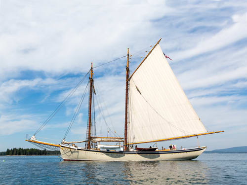 american eagle sailboat