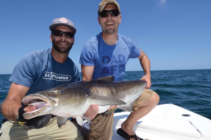 Cobia Culture - Soundings Online