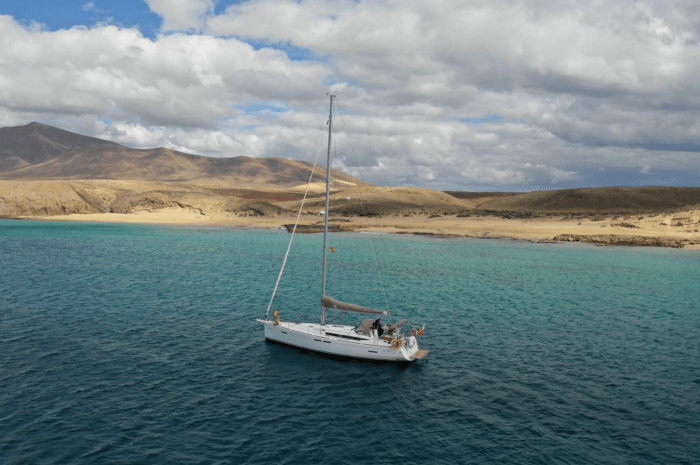 whales sink sailboat