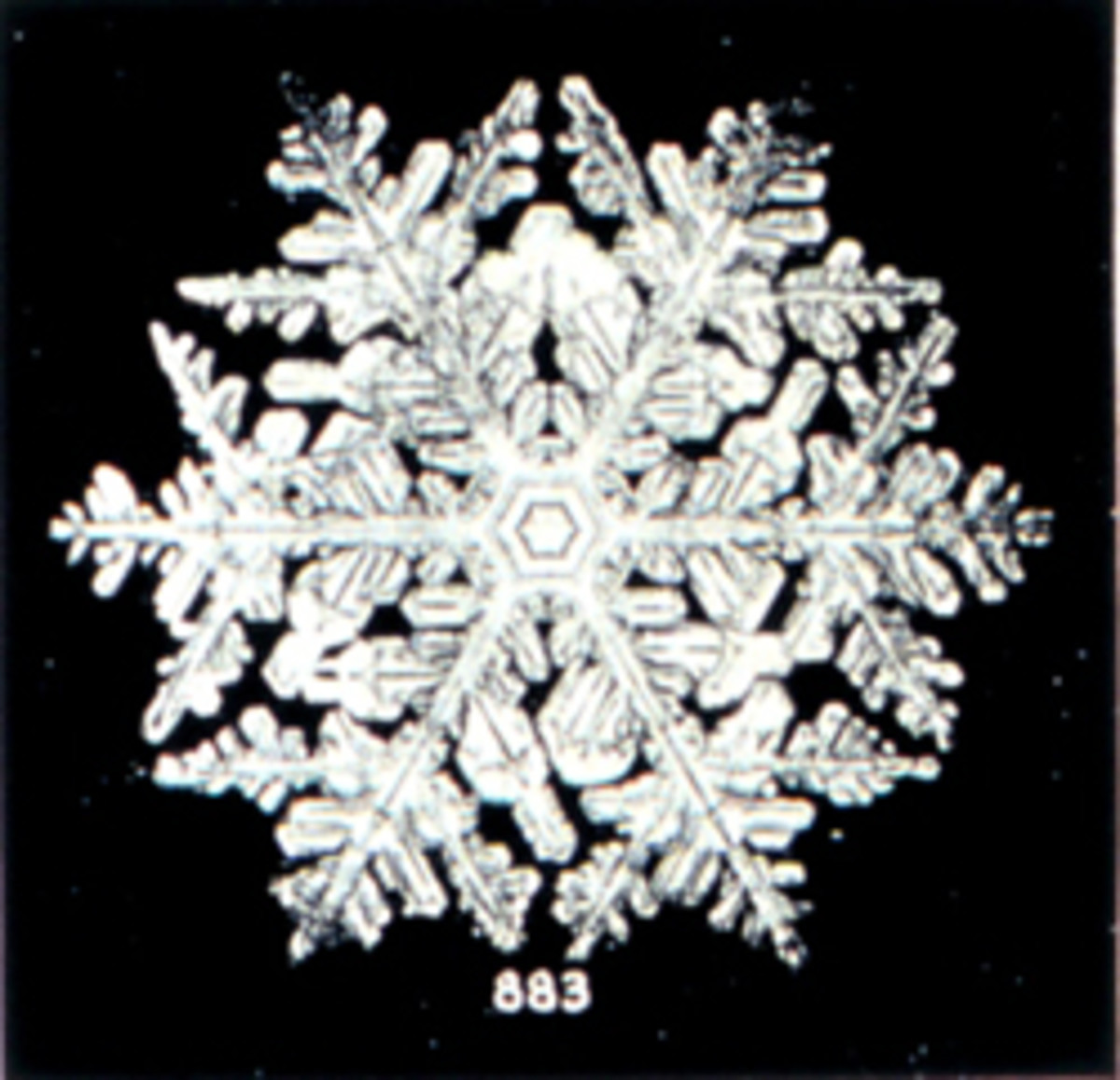 How do snowflakes form? Get the science behind snow