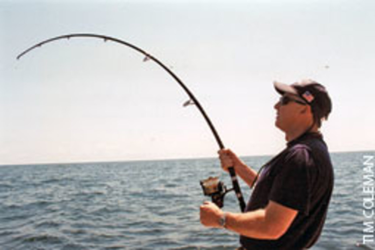 Versatile rods and reels that won't break the budget - Soundings Online