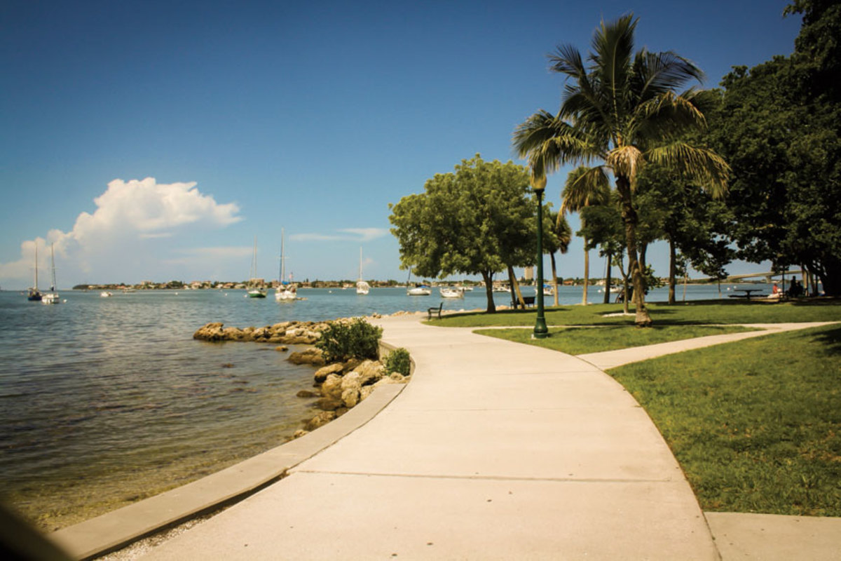 Only in Sarasota: Dolphins at Bayfront Park