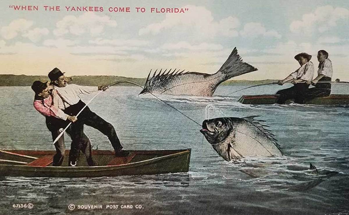 Postcard Exaggeration Fish Eating Man They're Biting Well Here Posted 1920