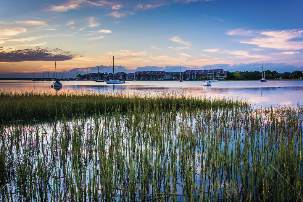 In the foreground are reeds in the water at dawn or dusk with boats moored. Apartments overlook the scene from across the bay.