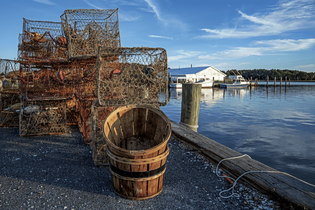 Crab pots and other fishing gear rest on a dock on the water